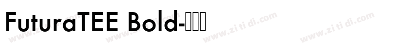 FuturaTEE Bold字体转换